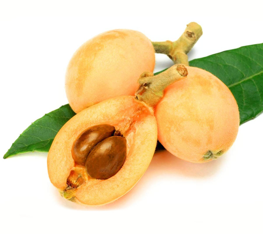 نهال ازگیل ژاپنی